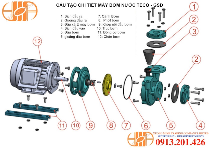 Cau Tao May Bom Nuoc Teco(1)