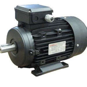 Dong Co Tecp Aefc 3hp (1)