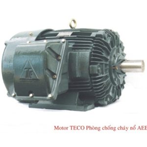 Motor Chong Chay No Teco Loai Aeedxu (1)